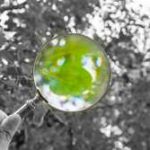 foto-viveralia-web