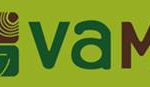 logo-vame