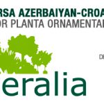 viveralia_internacional_destacados_558-x-231