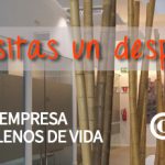 viveros_empresa_destacados_VAL_558-x-231