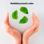 jornada-sostenibilidad-imagen-web