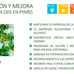 plan-accion-mejora2
