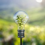 medio-ambiente-web