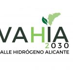 vahia2030