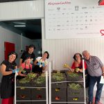 los-heroes-con-delantal-en-las-instalciones-de-alicante-gastronomica-solidaria-en-mutxamel