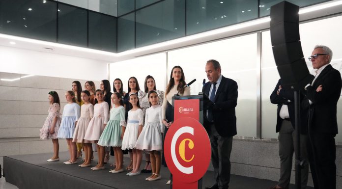 La Cámara enciende el Palas