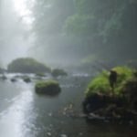 riverbg-1.jpg